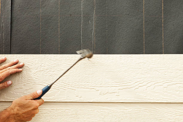 Affordable Siding Repair and Maintenance Services in Stonewall, MS